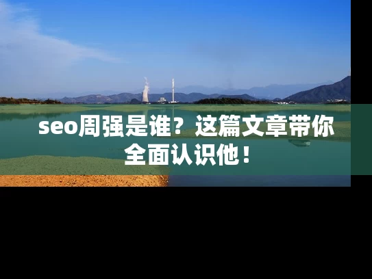 seo周强是谁？这篇文章带你全面认识他！