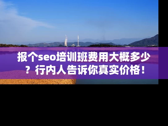 报个seo培训班费用大概多少？行内人告诉你真实价格！