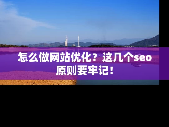 怎么做网站优化？这几个seo原则要牢记！
