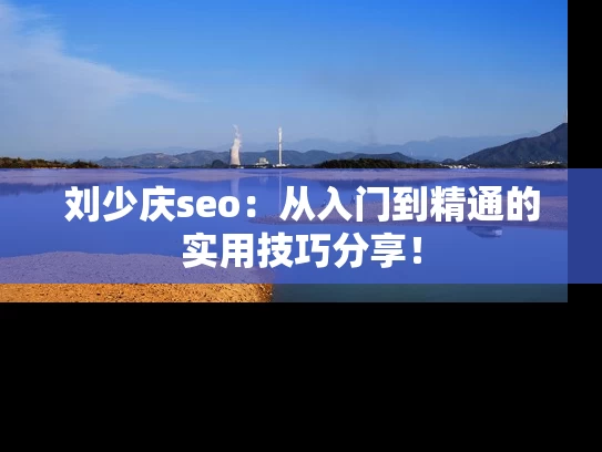 刘少庆seo：从入门到精通的实用技巧分享！