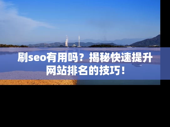 刷seo有用吗？揭秘快速提升网站排名的技巧！