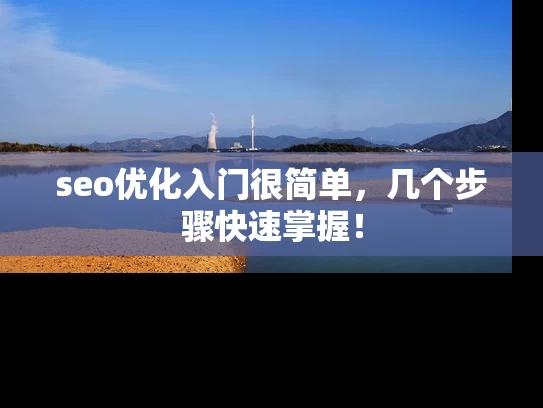 seo优化入门很简单，几个步骤快速掌握！