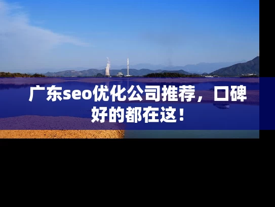 广东seo优化公司推荐，口碑好的都在这！