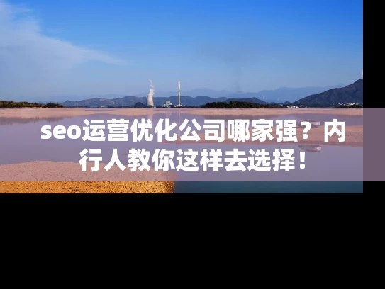seo运营优化公司哪家强？内行人教你这样去选择！