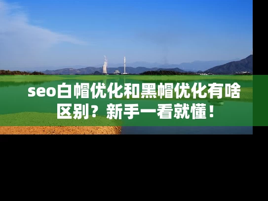 seo白帽优化和黑帽优化有啥区别？新手一看就懂！