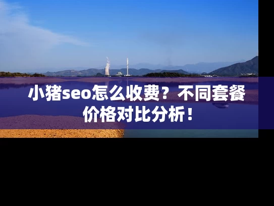 小猪seo怎么收费？不同套餐价格对比分析！