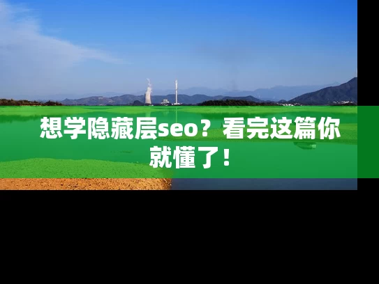 想学隐藏层seo？看完这篇你就懂了！