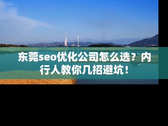 东莞seo优化公司怎么选？内行人教你几招避坑！