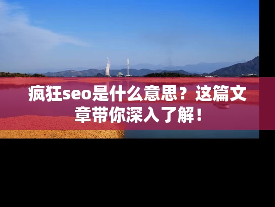 疯狂seo是什么意思？这篇文章带你深入了解！
