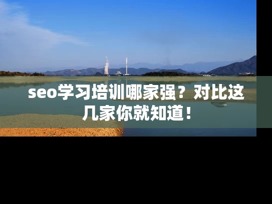 seo学习培训哪家强？对比这几家你就知道！