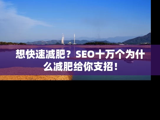 想快速减肥？SEO十万个为什么减肥给你支招！