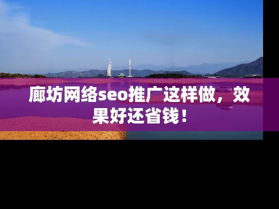 廊坊网络seo推广这样做，效果好还省钱！