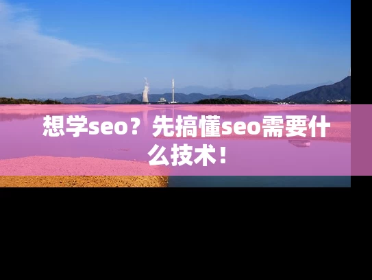 想学seo？先搞懂seo需要什么技术！