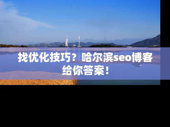 找优化技巧？哈尔滨seo博客给你答案！