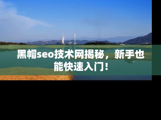 黑帽seo技术网揭秘，新手也能快速入门！