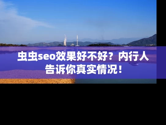 虫虫seo效果好不好？内行人告诉你真实情况！
