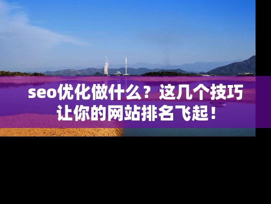 seo优化做什么？这几个技巧让你的网站排名飞起！