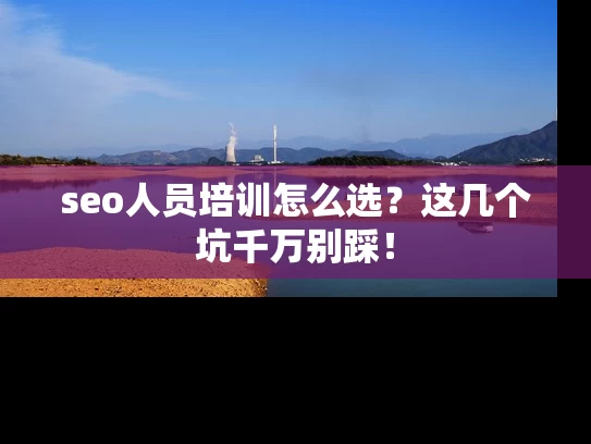 seo人员培训怎么选？这几个坑千万别踩！