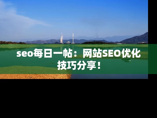 seo每日一帖：网站SEO优化技巧分享！
