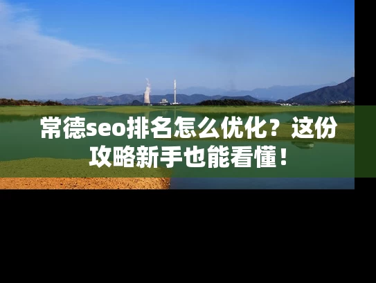 常德seo排名怎么优化？这份攻略新手也能看懂！