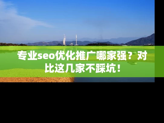 专业seo优化推广哪家强？对比这几家不踩坑！