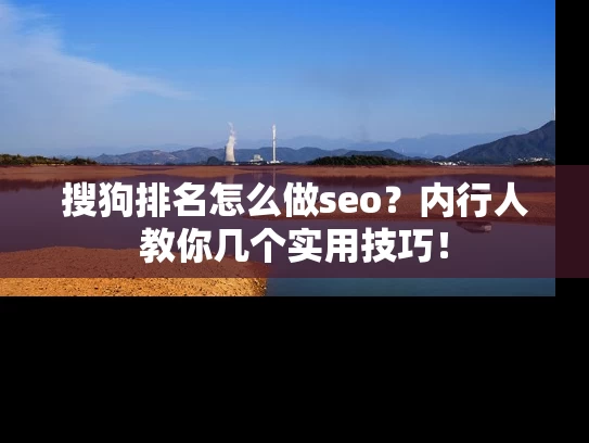 搜狗排名怎么做seo？内行人教你几个实用技巧！