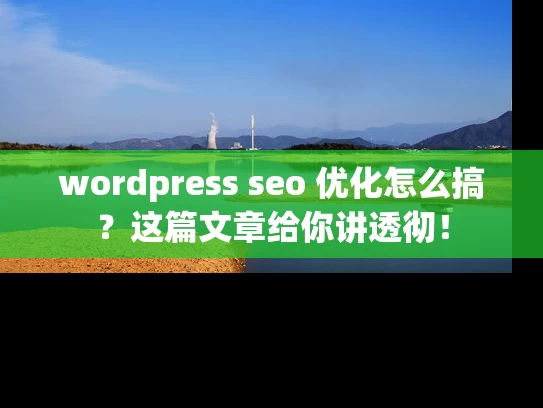 wordpress seo 优化怎么搞？这篇文章给你讲透彻！