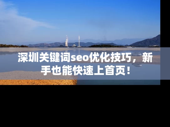 深圳关键词seo优化技巧，新手也能快速上首页！