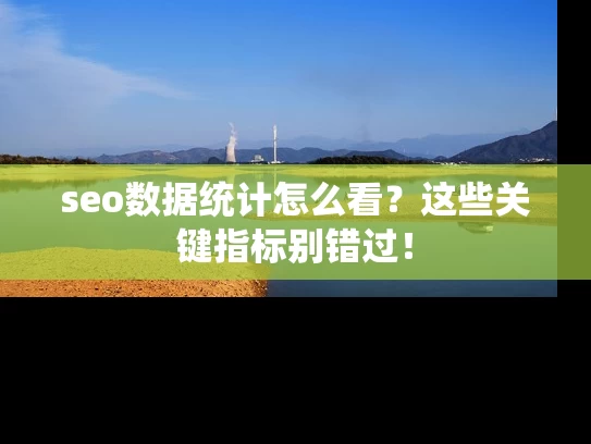 seo数据统计怎么看？这些关键指标别错过！