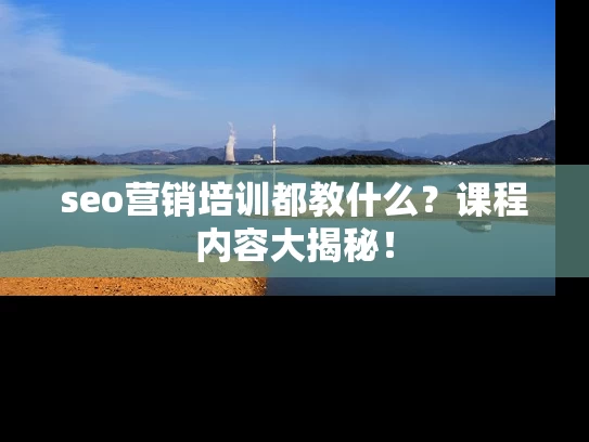 seo营销培训都教什么？课程内容大揭秘！