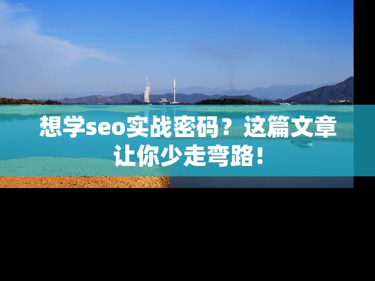 想学seo实战密码？这篇文章让你少走弯路！