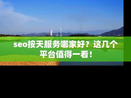 seo按天服务哪家好？这几个平台值得一看！