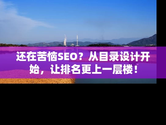 还在苦恼SEO？从目录设计开始，让排名更上一层楼！