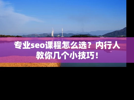 专业seo课程怎么选？内行人教你几个小技巧！