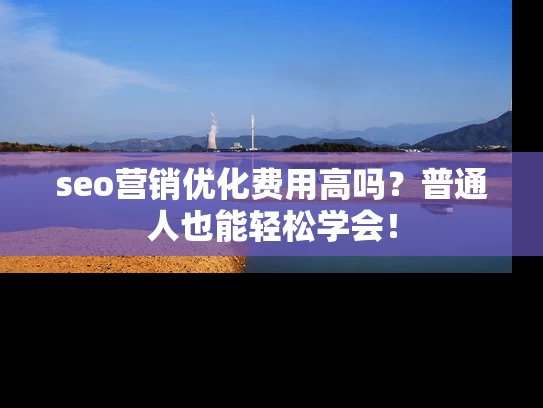 seo营销优化费用高吗？普通人也能轻松学会！