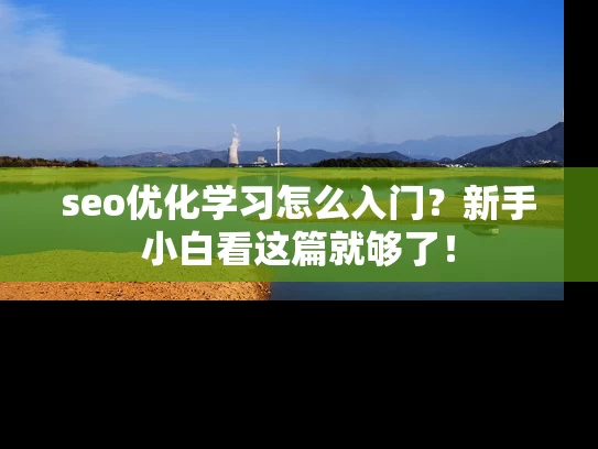 seo优化学习怎么入门？新手小白看这篇就够了！