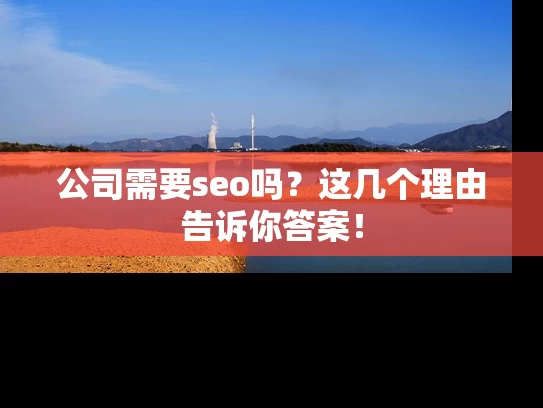 公司需要seo吗？这几个理由告诉你答案！