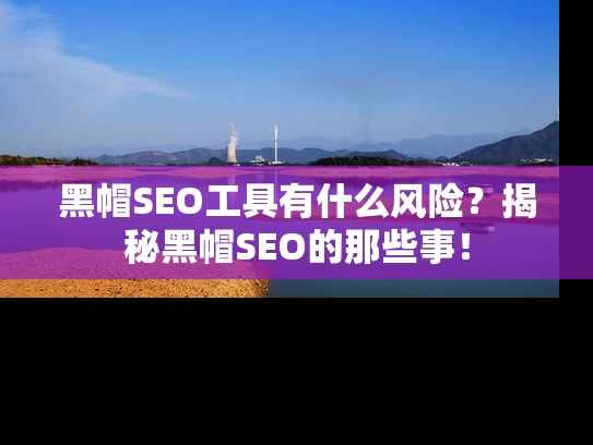 黑帽SEO工具有什么风险？揭秘黑帽SEO的那些事！