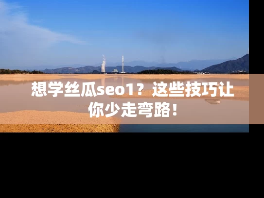 想学丝瓜seo1？这些技巧让你少走弯路！