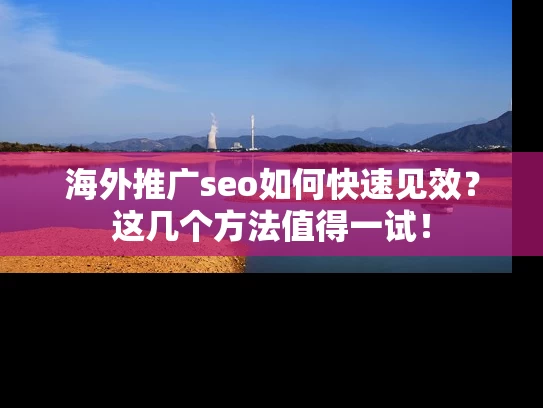 海外推广seo如何快速见效？这几个方法值得一试！