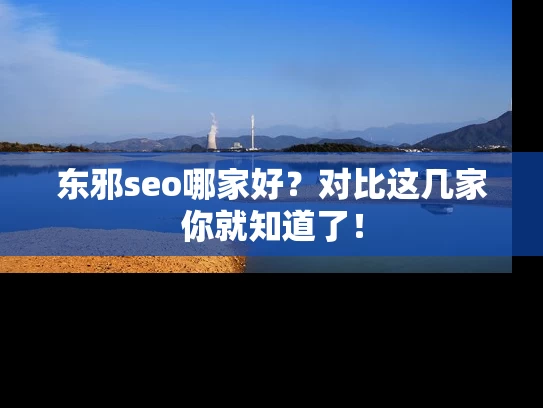 东邪seo哪家好？对比这几家你就知道了！