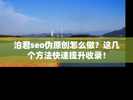 泊君seo伪原创怎么做？这几个方法快速提升收录！