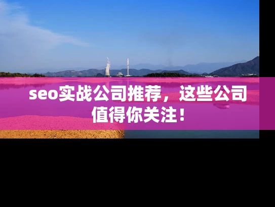 seo实战公司推荐，这些公司值得你关注！