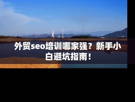 外贸seo培训哪家强？新手小白避坑指南！