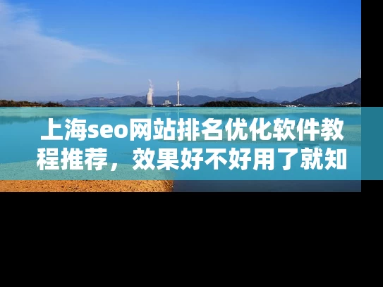 上海seo网站排名优化软件教程推荐，效果好不好用了就知道！