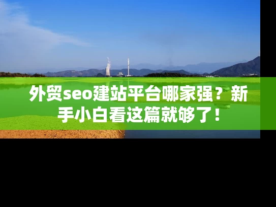 外贸seo建站平台哪家强？新手小白看这篇就够了！