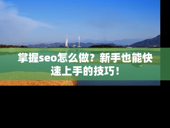 掌握seo怎么做？新手也能快速上手的技巧！