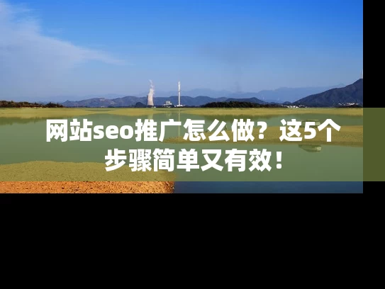 网站seo推广怎么做？这5个步骤简单又有效！