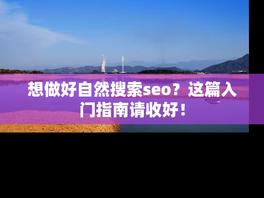 想做好自然搜索seo？这篇入门指南请收好！