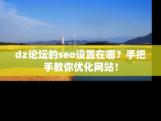 dz论坛的seo设置在哪？手把手教你优化网站！